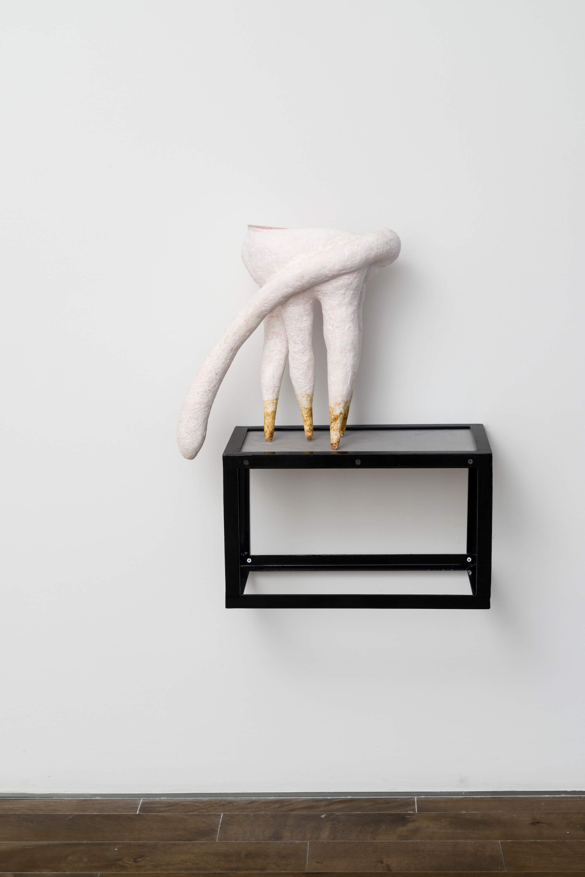 Stephen Schofield Artworks