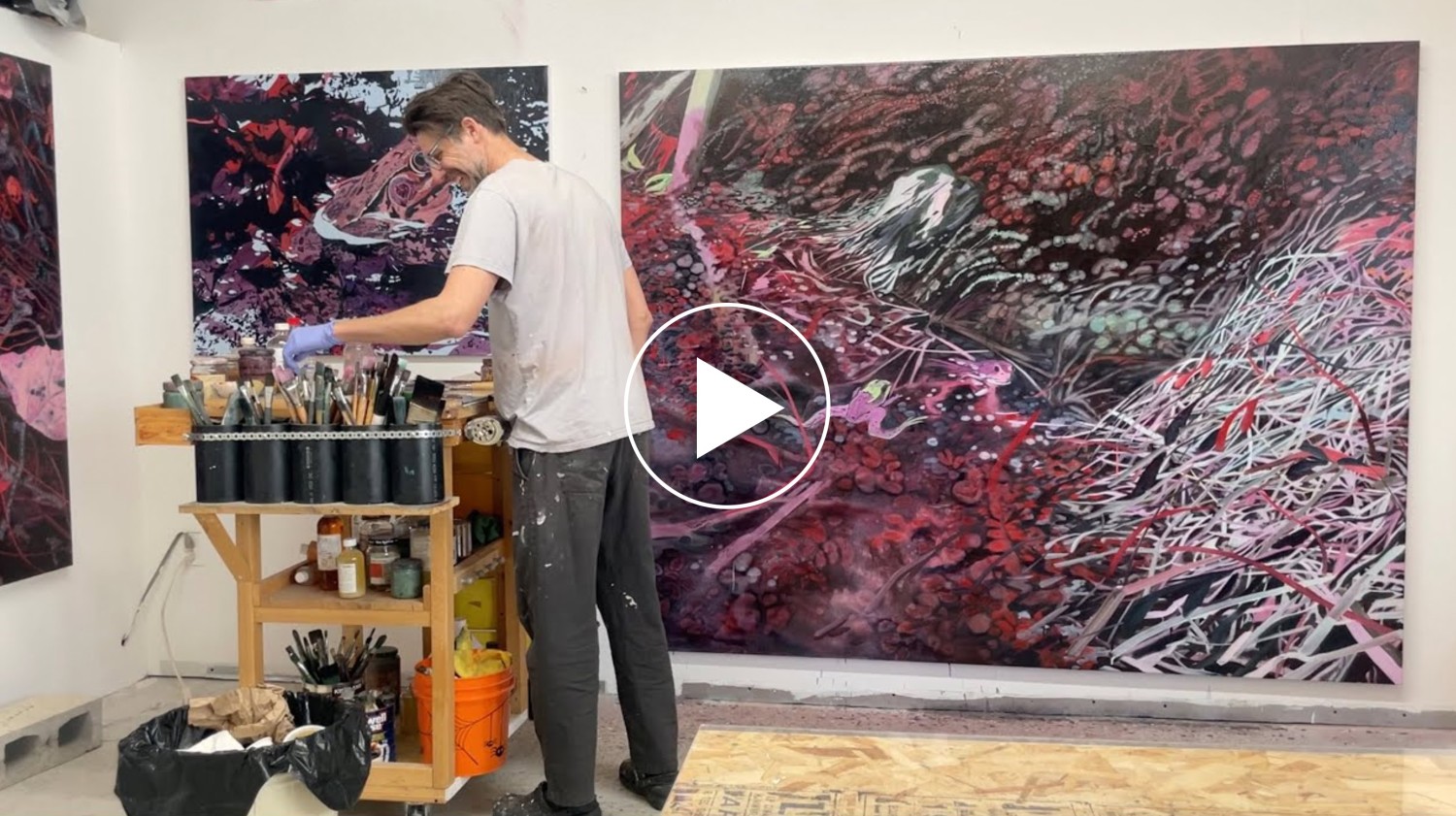 Matt Shane Video
