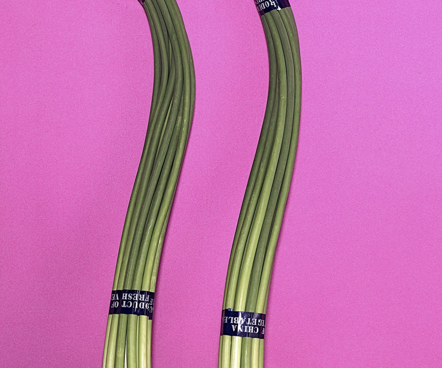 Œuvre de Michelle Bui