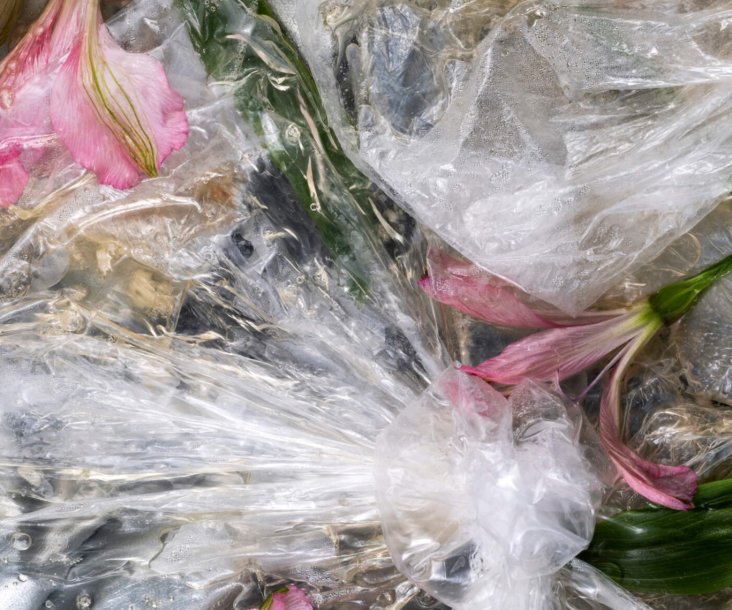 Artwork by Michelle Bui