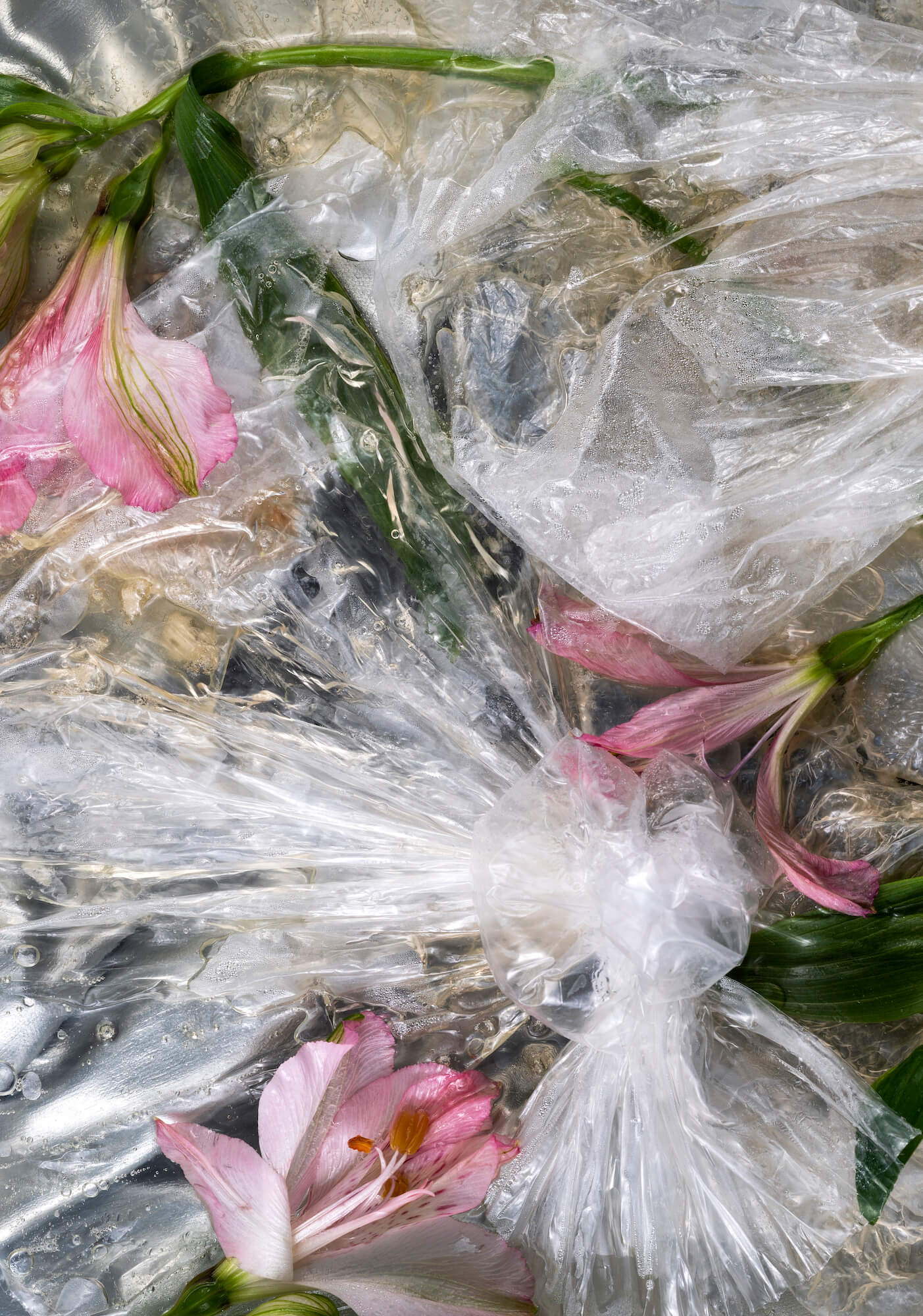 Artwork by Michelle Bui