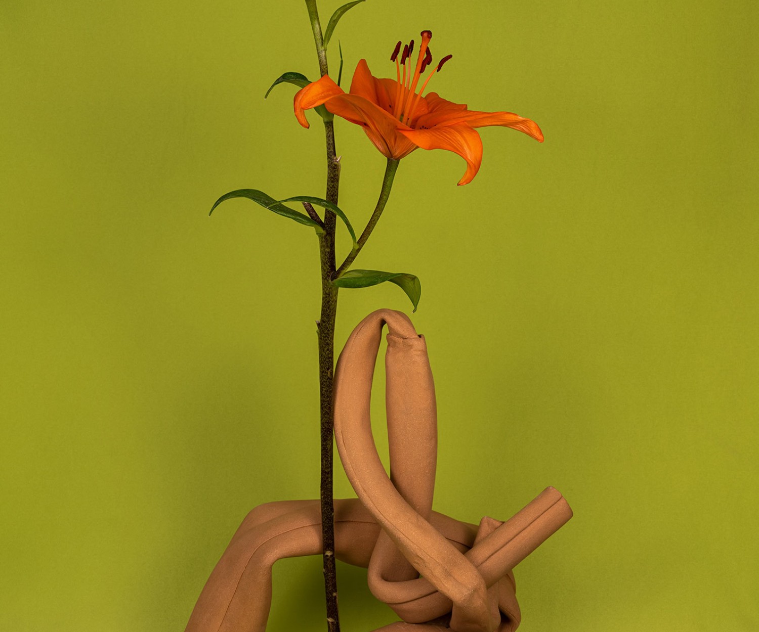 Œuvre de Michelle Bui