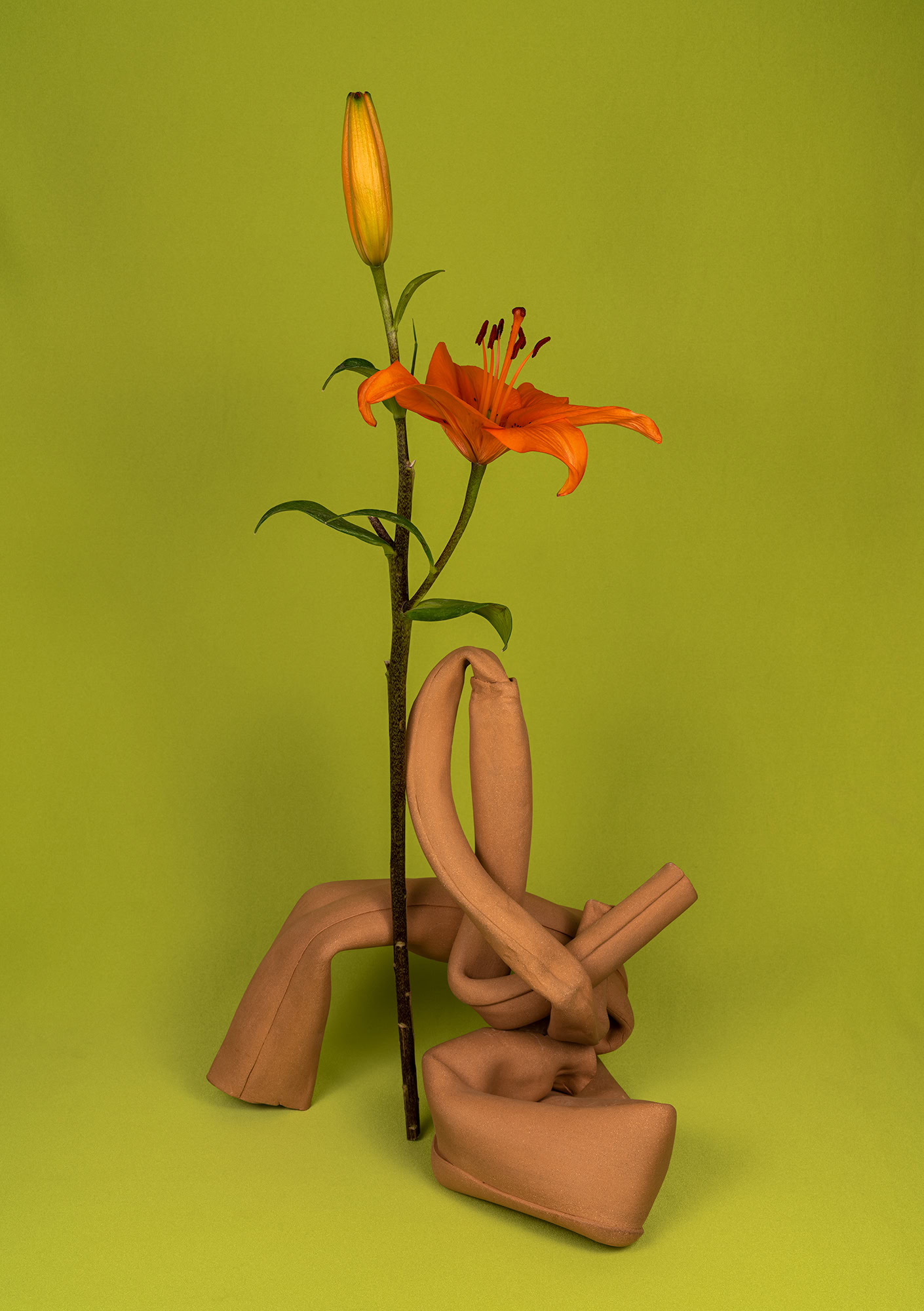 Œuvre de Michelle Bui