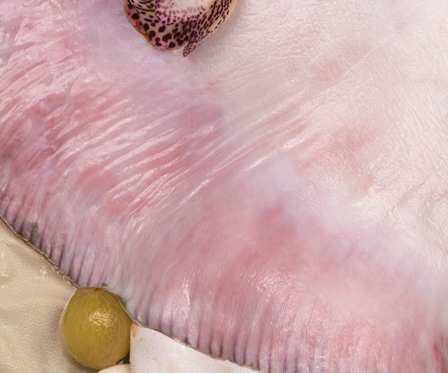 Artwork by Michelle Bui