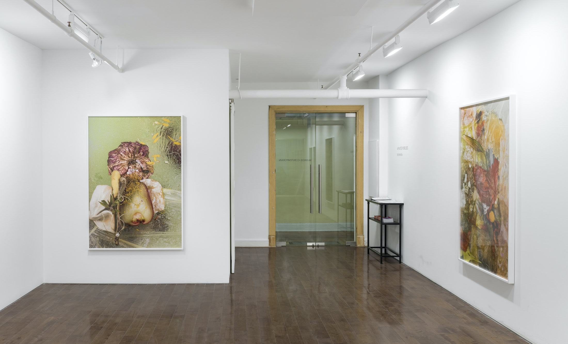 Exhibition by Michelle Bui