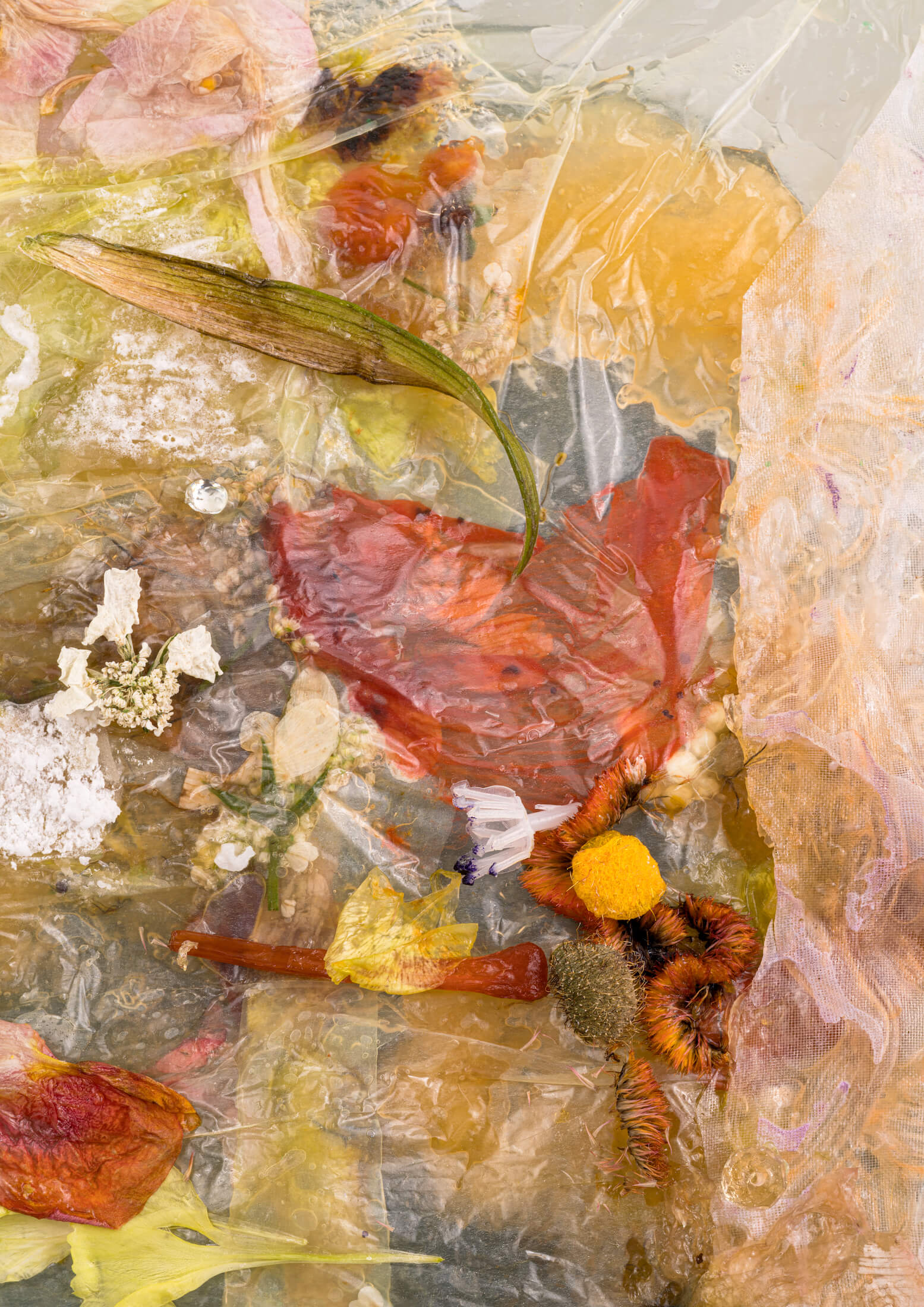 Artwork by Michelle Bui