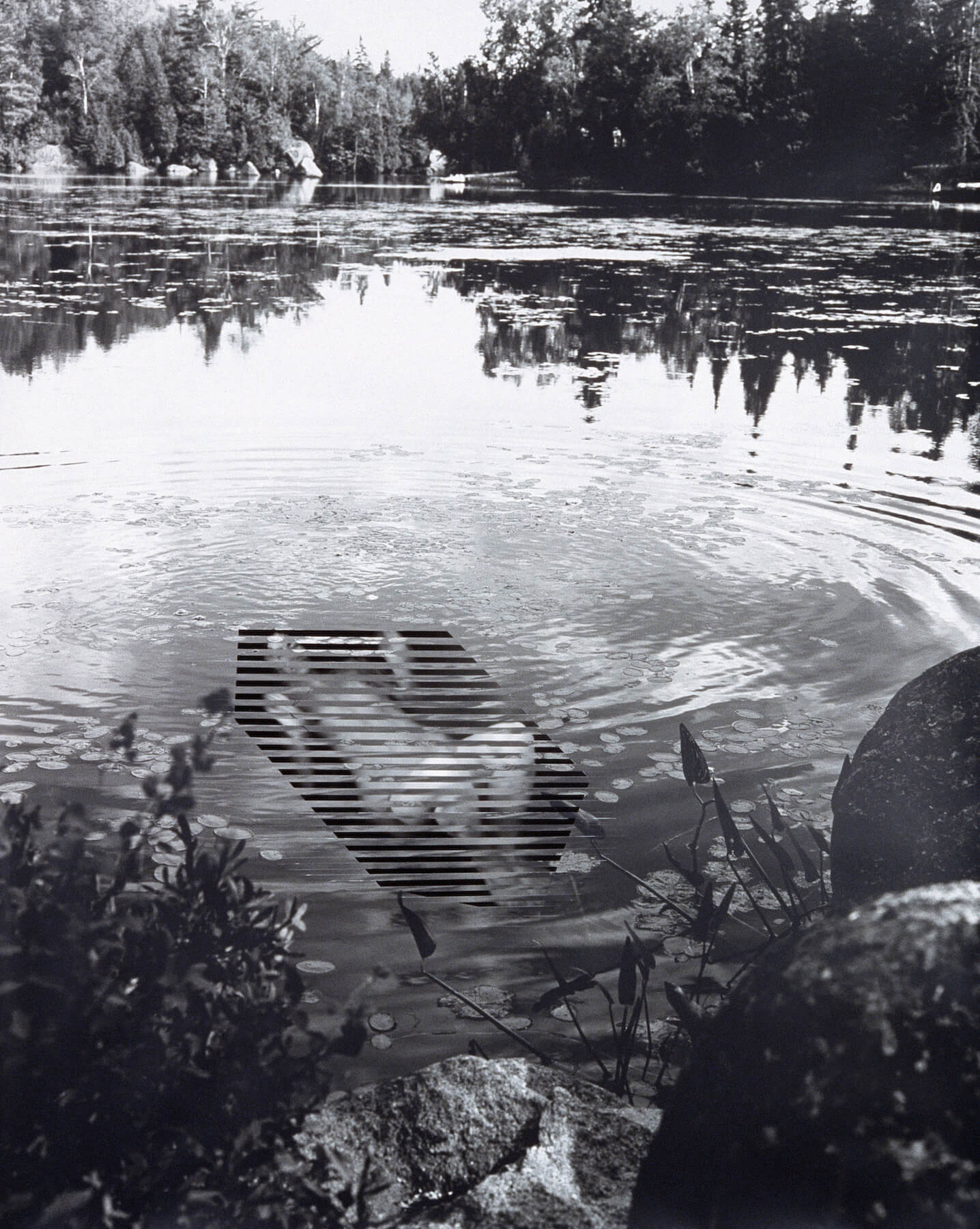 Artwork by Andrea Szilasi