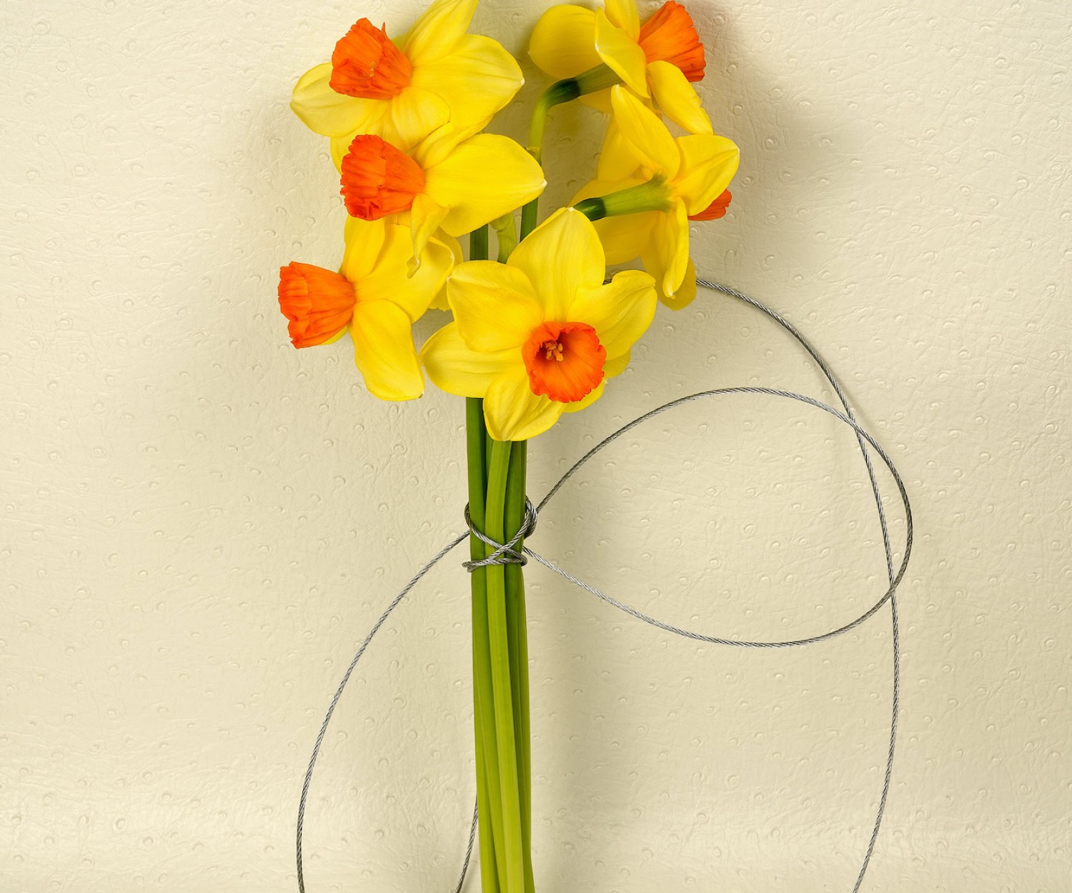 Artwork by Michelle Bui