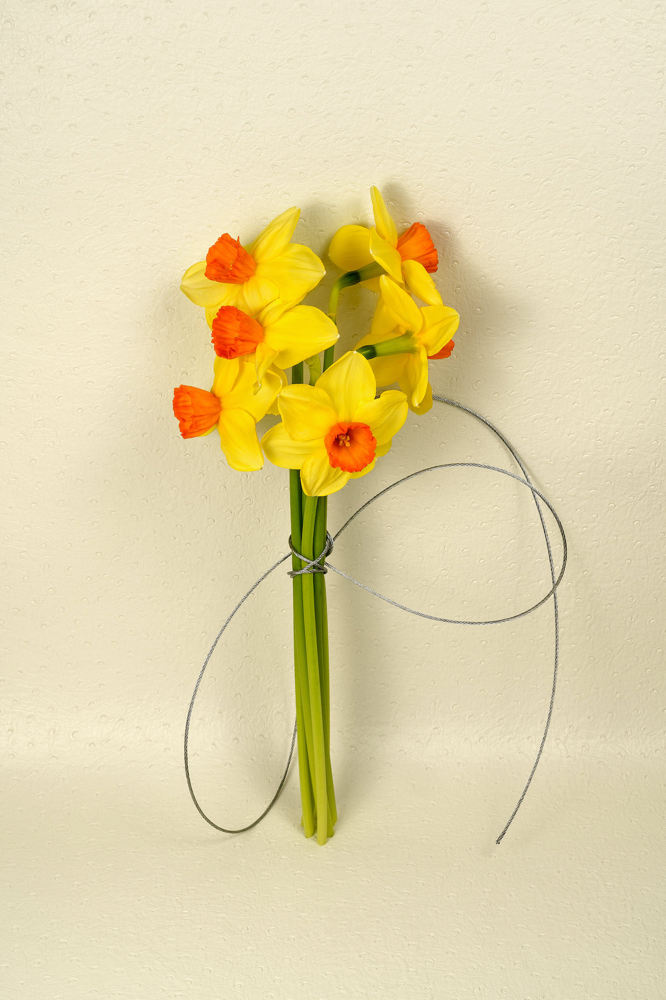 Artwork by Michelle Bui