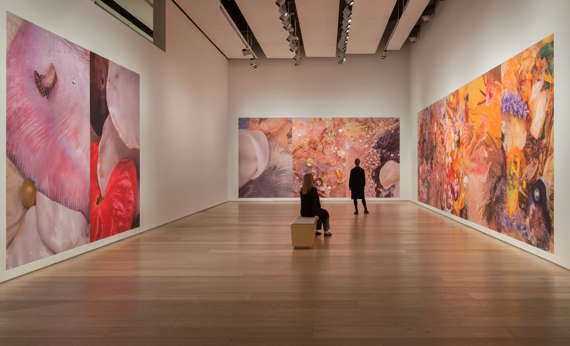 Exhibition view of a Michelle Bui's show at the Esker Foundation