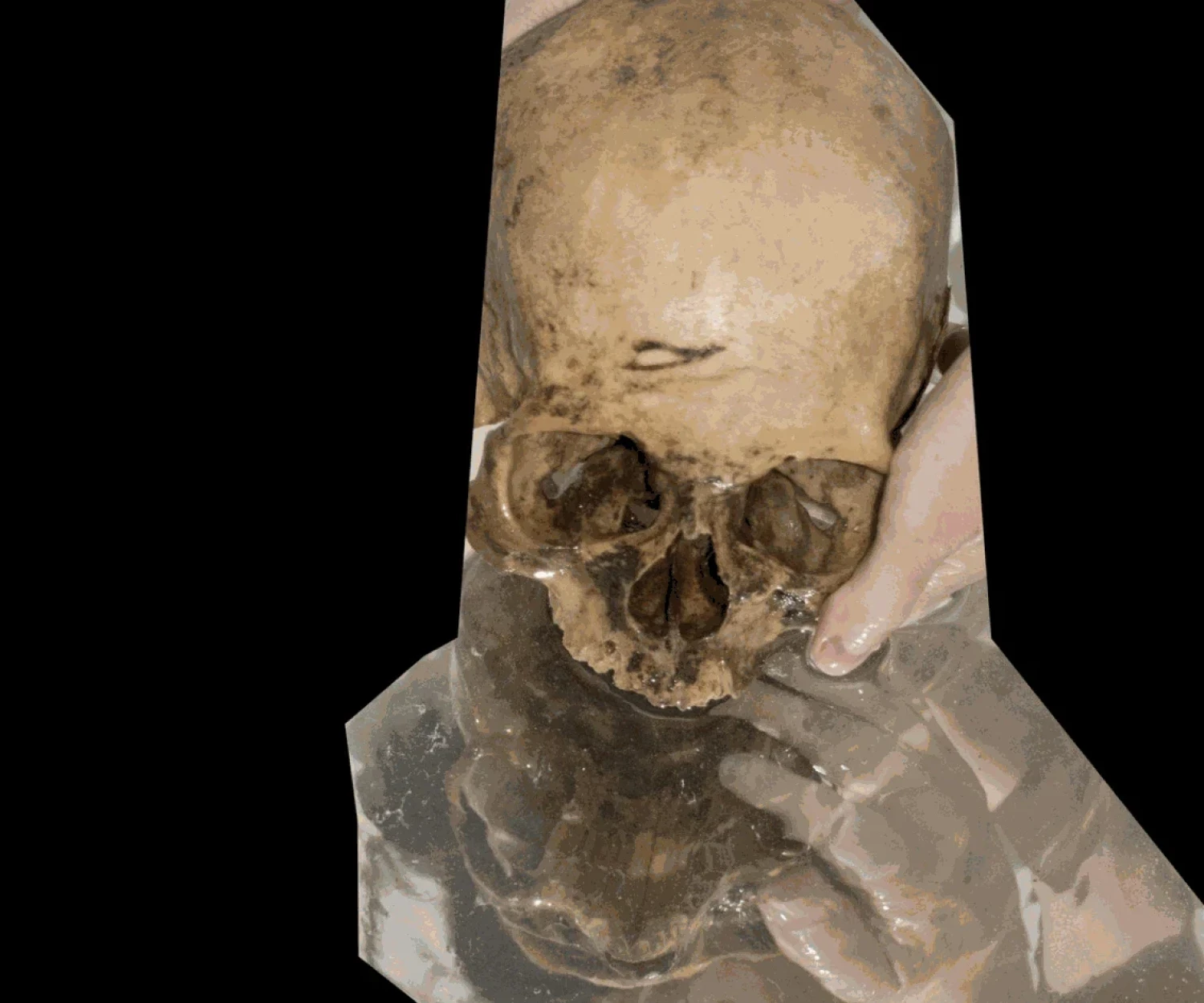 Andrea and Gabor Szilasi featured in Border Crossings magazine