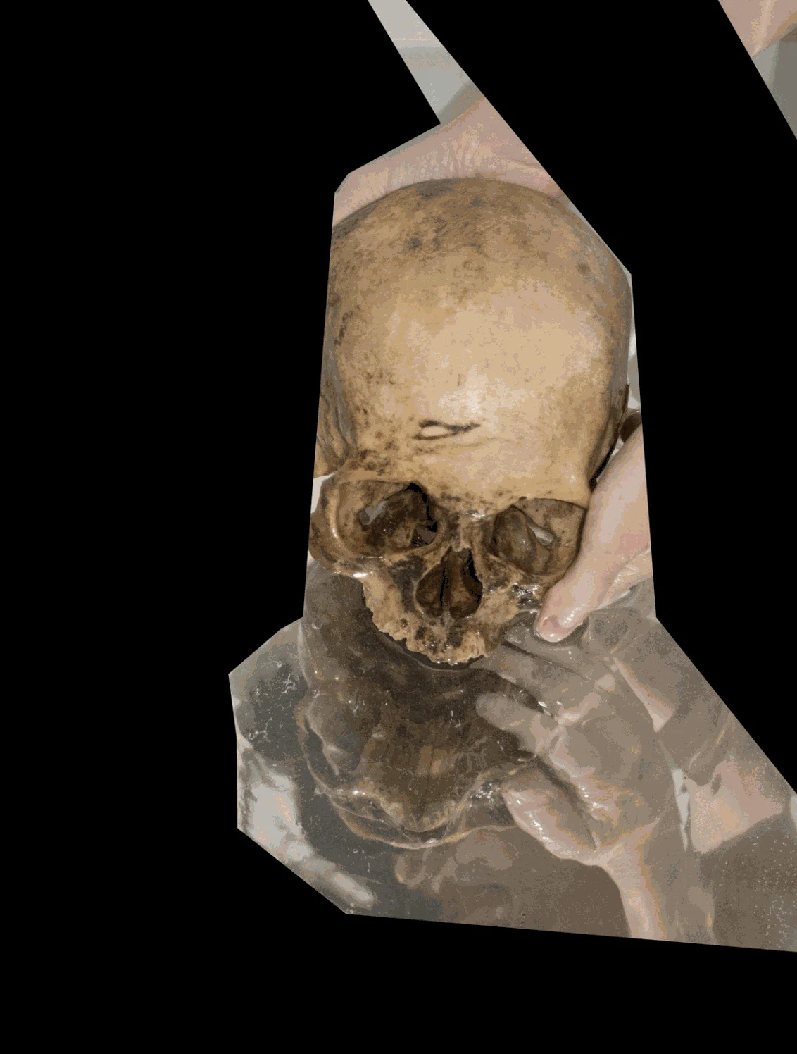 Andrea and Gabor Szilasi featured in Border Crossings magazine