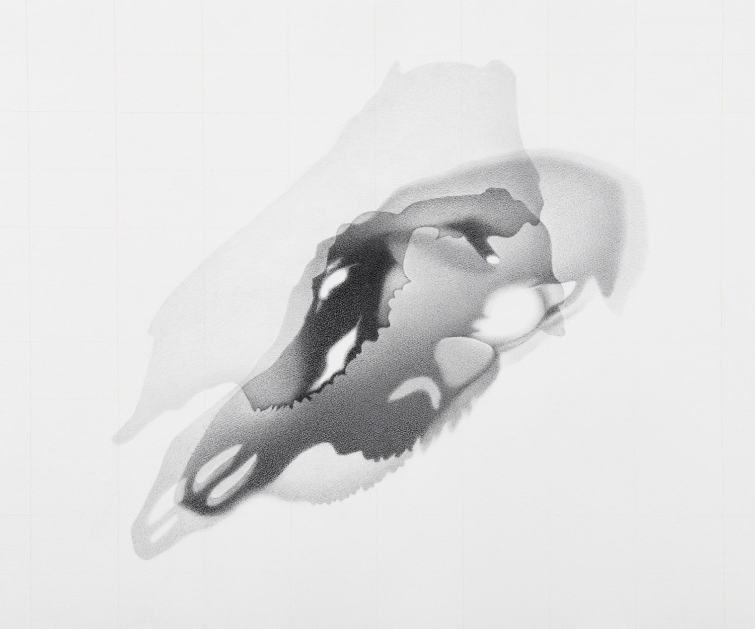 Lorraine Simms A solo exhibition at the Canadian Museum of Nature in Ottawa