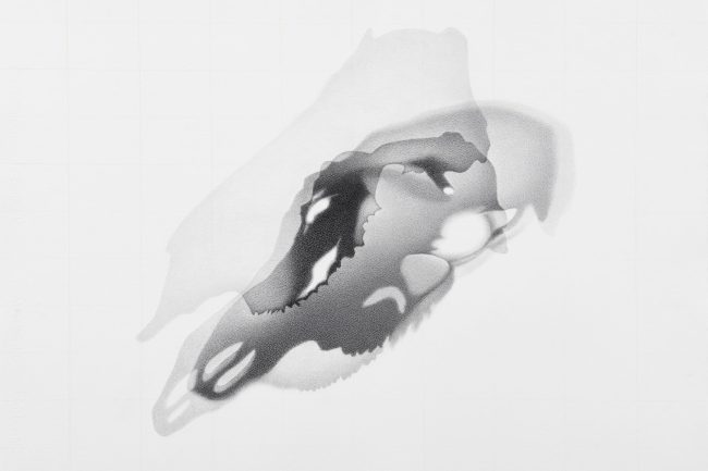 Lorraine Simms A solo exhibition at the Canadian Museum of Nature in Ottawa