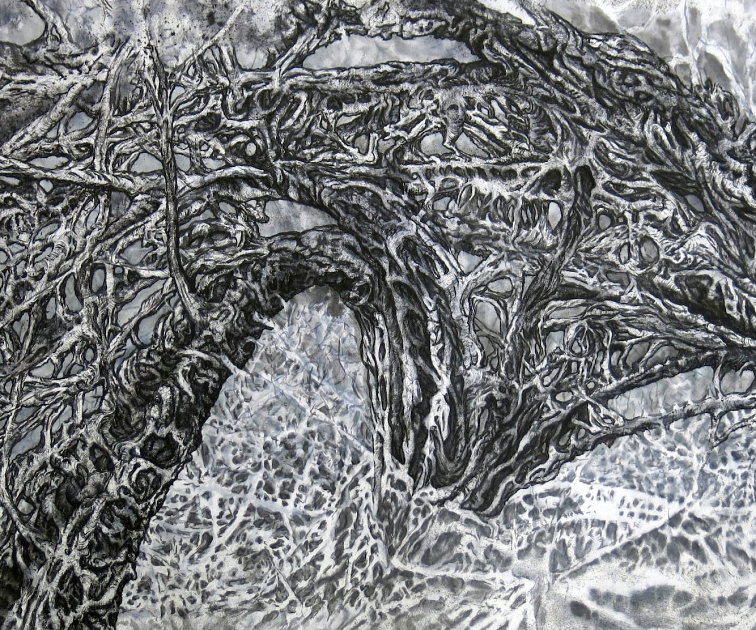 Jim Holyoak A solo exhibition at View Gallery, Nanaimo