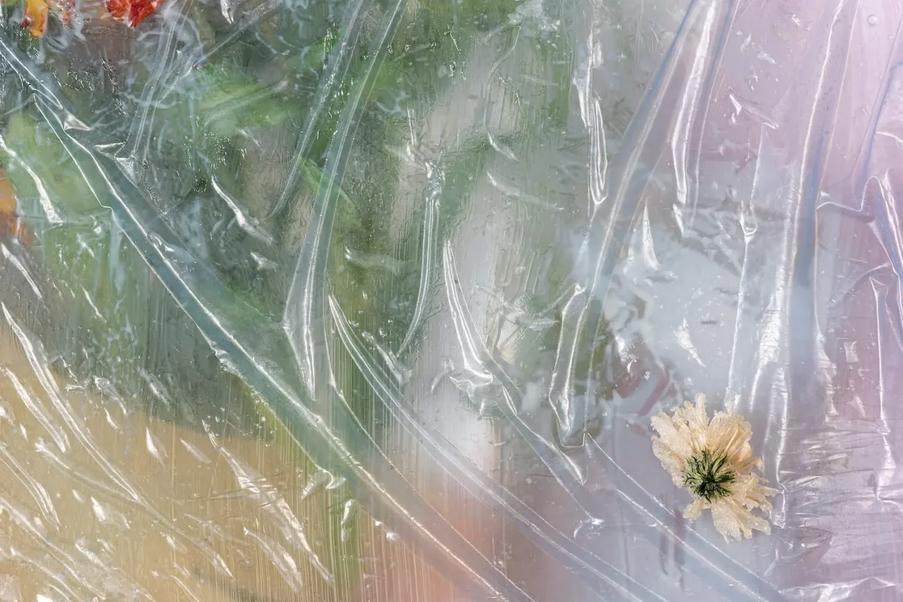 CAPTURE An Interview with Michelle Bui