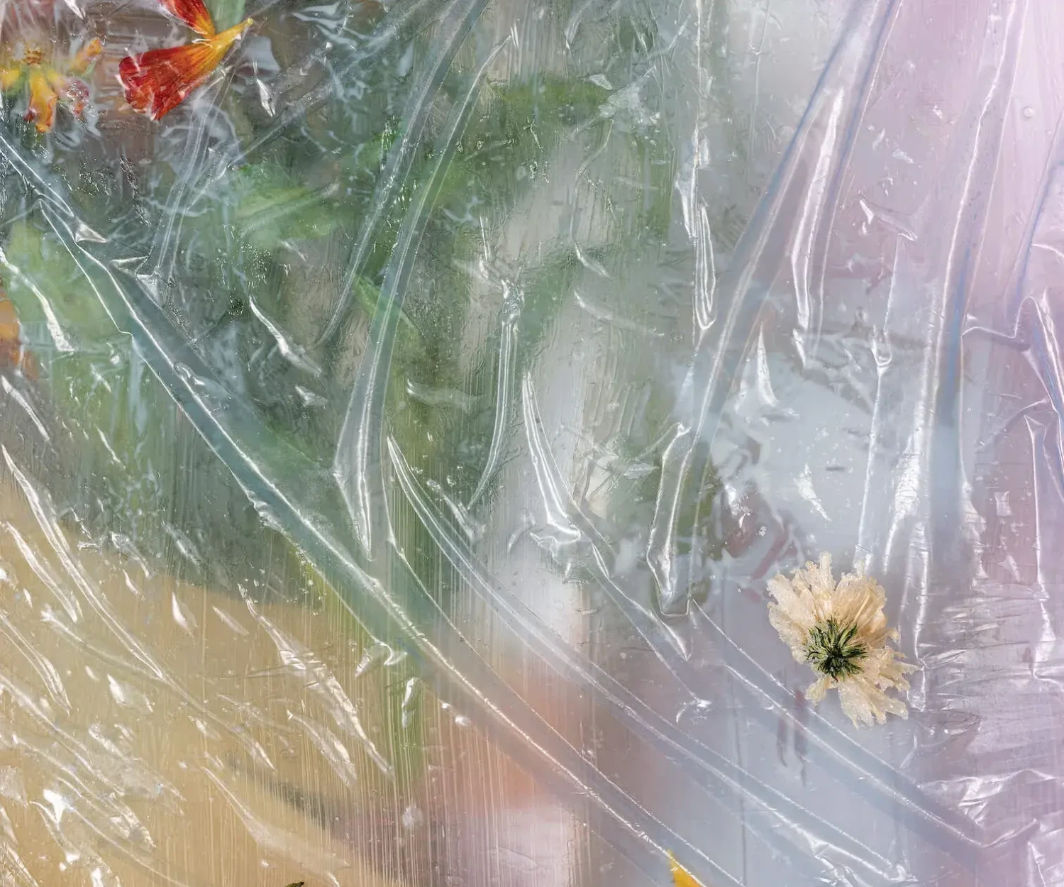 CAPTURE An Interview with Michelle Bui