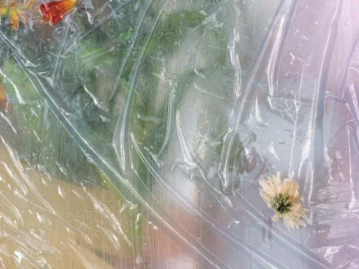 CAPTURE An Interview with Michelle Bui