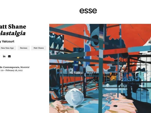 Matt Shane Exhibition review in Esse Magazine