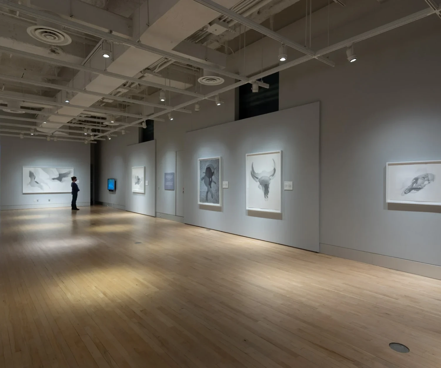 SHADOWLAND, from Lorraine Simms, reviewed in ESPACE Art actuel