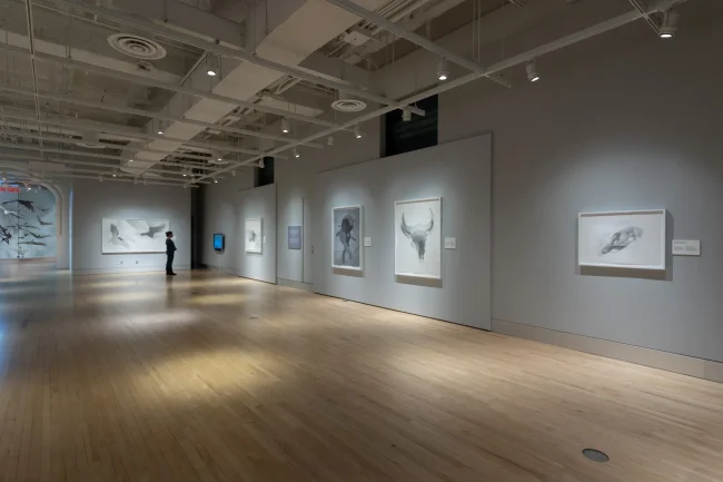 SHADOWLAND, from Lorraine Simms, reviewed in ESPACE Art actuel