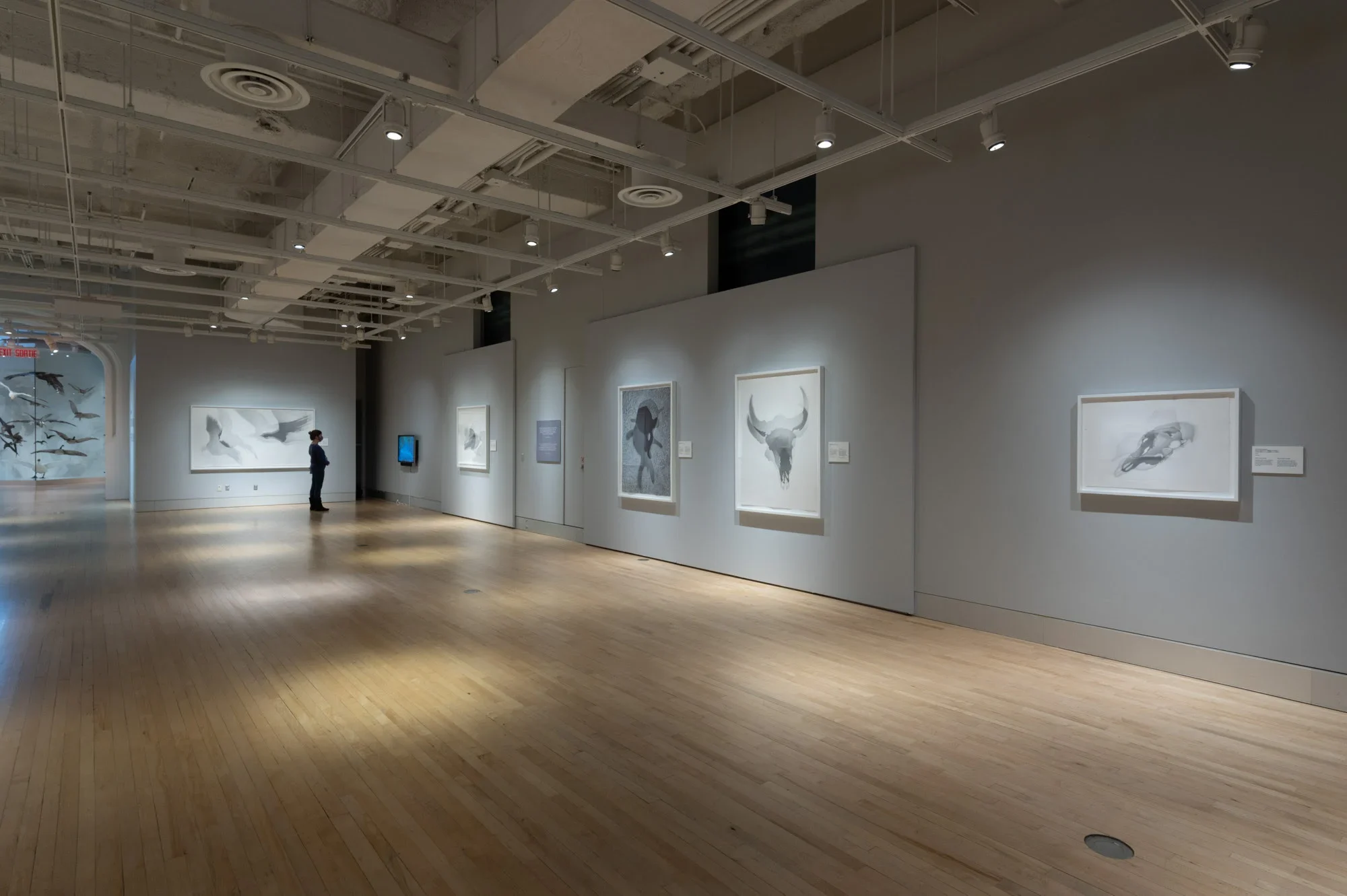 SHADOWLAND, from Lorraine Simms, reviewed in ESPACE Art actuel