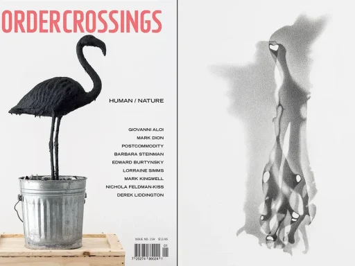 Border Crossings highlights Lorraine Simms_ latest body of work in their Spring 2022 issue