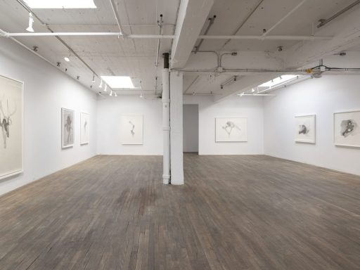 Lorraine Simms A solo show at OBORO, Montreal