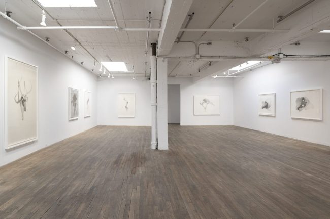 Lorraine Simms A solo show at OBORO, Montreal