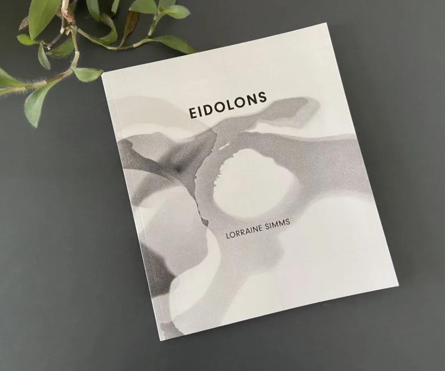 New publication by Lorraine Simms Eidolons