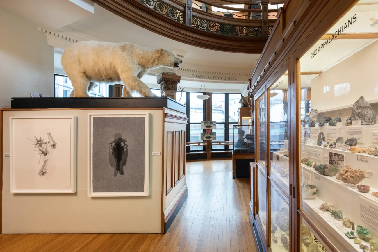 066-Lorraine Simms Shadowland at the Redpath Museum Lorraine Simms Shadowland at the Redpath Museum