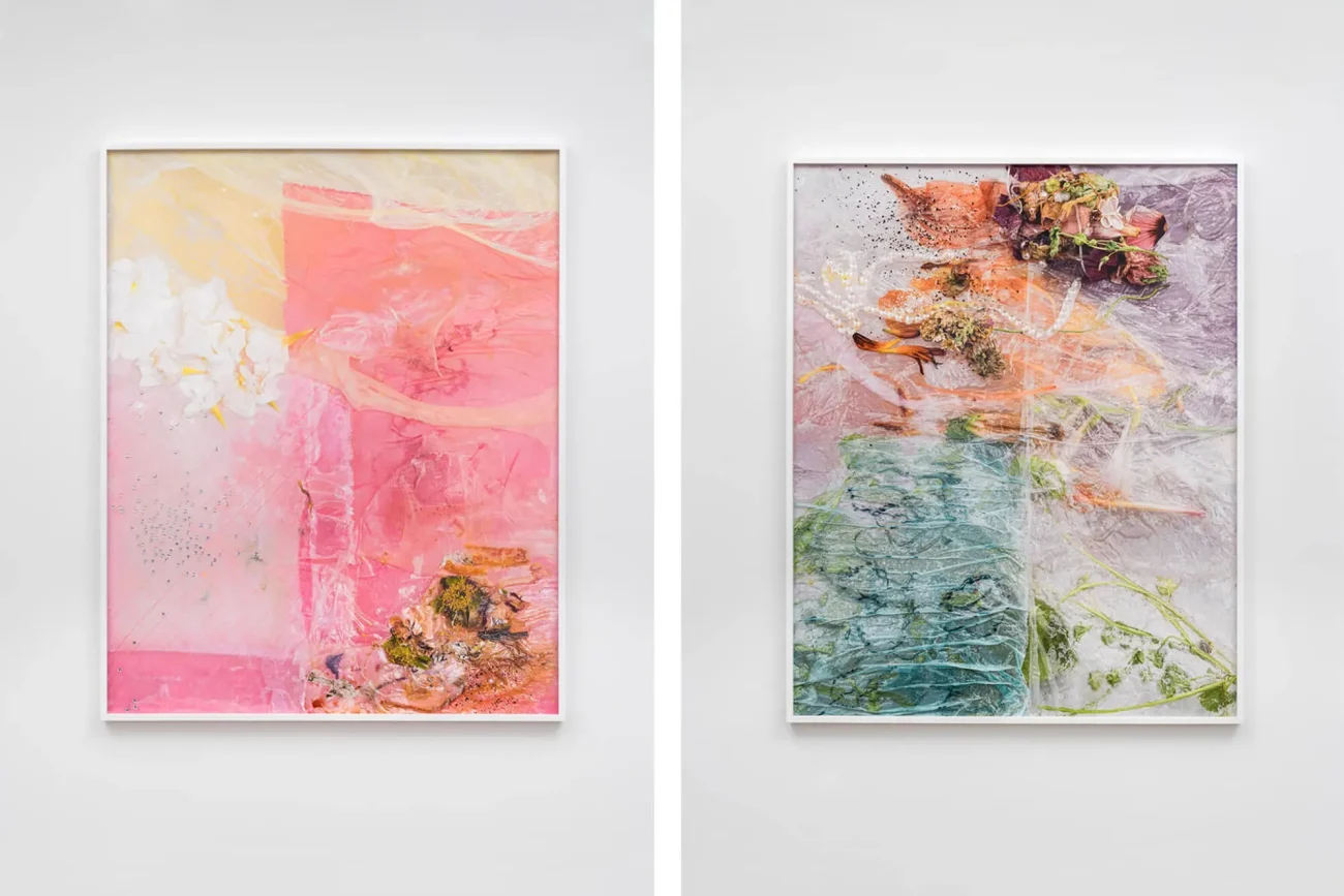 Michelle Bui Acquisition by the Global Affairs Canada Visual Art Collection