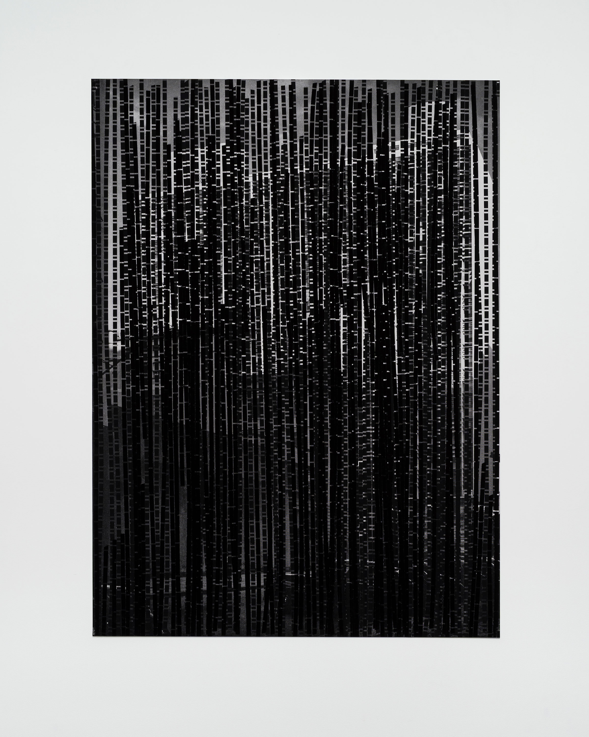 Artwork by Andrea Szilasi