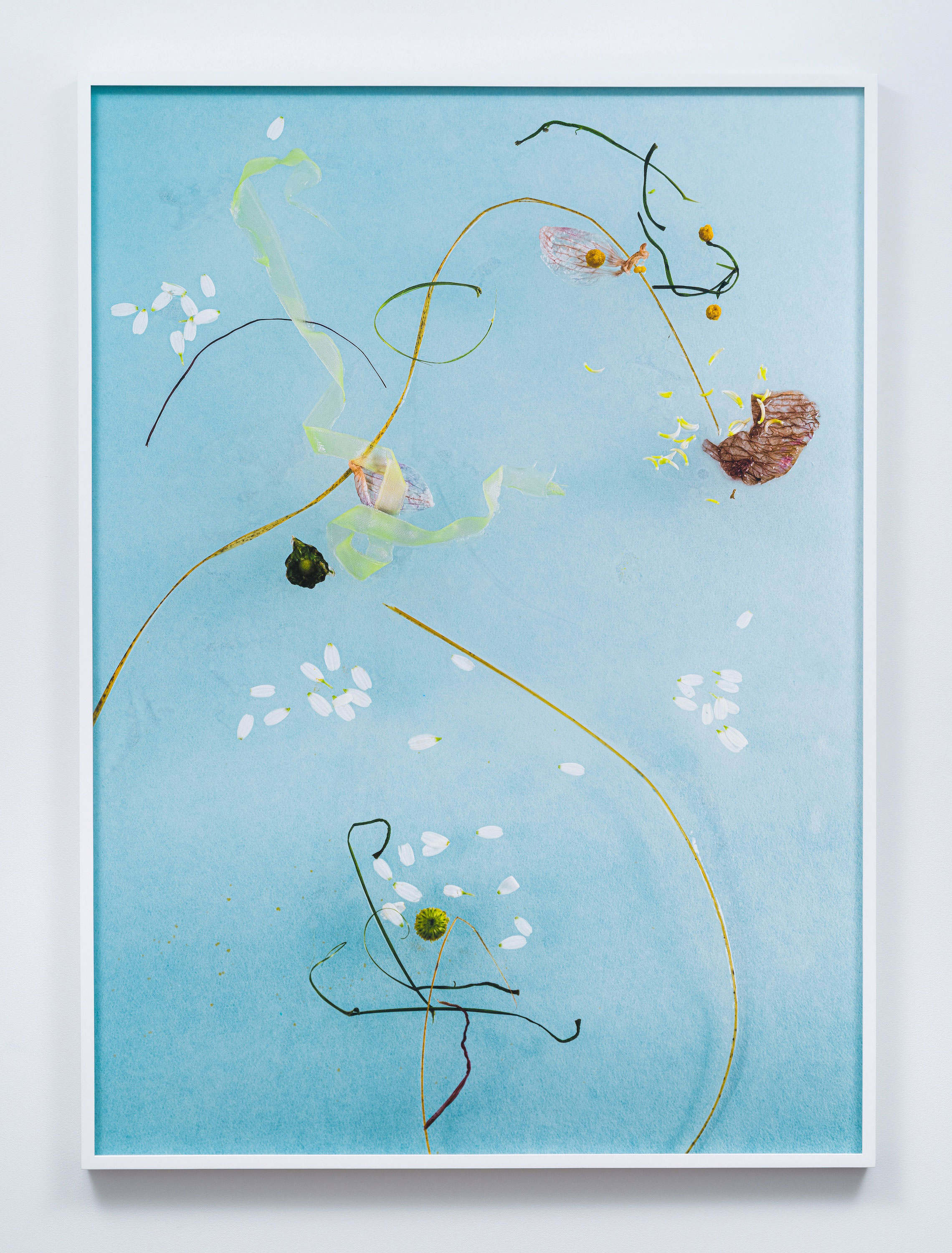 Artwork by Michelle Bui